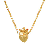 Cadena El Jardín XL