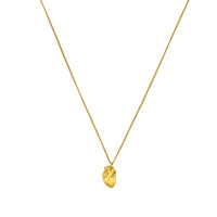 Cadena Anatomik Mini